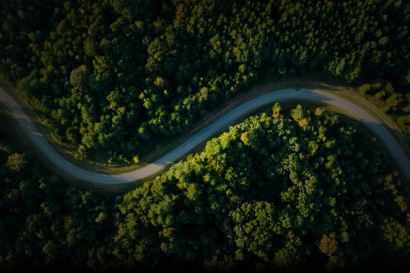 Aerial view of curved road through forest